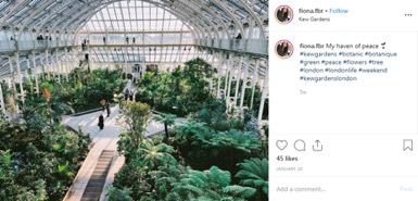 greatlittlebreaks-nature-in-the-big-city-blog-kew-gardens.jpg