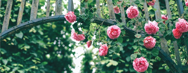 Image 16.jpg